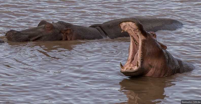 Kenia_044.jpg